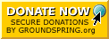Donate Now button